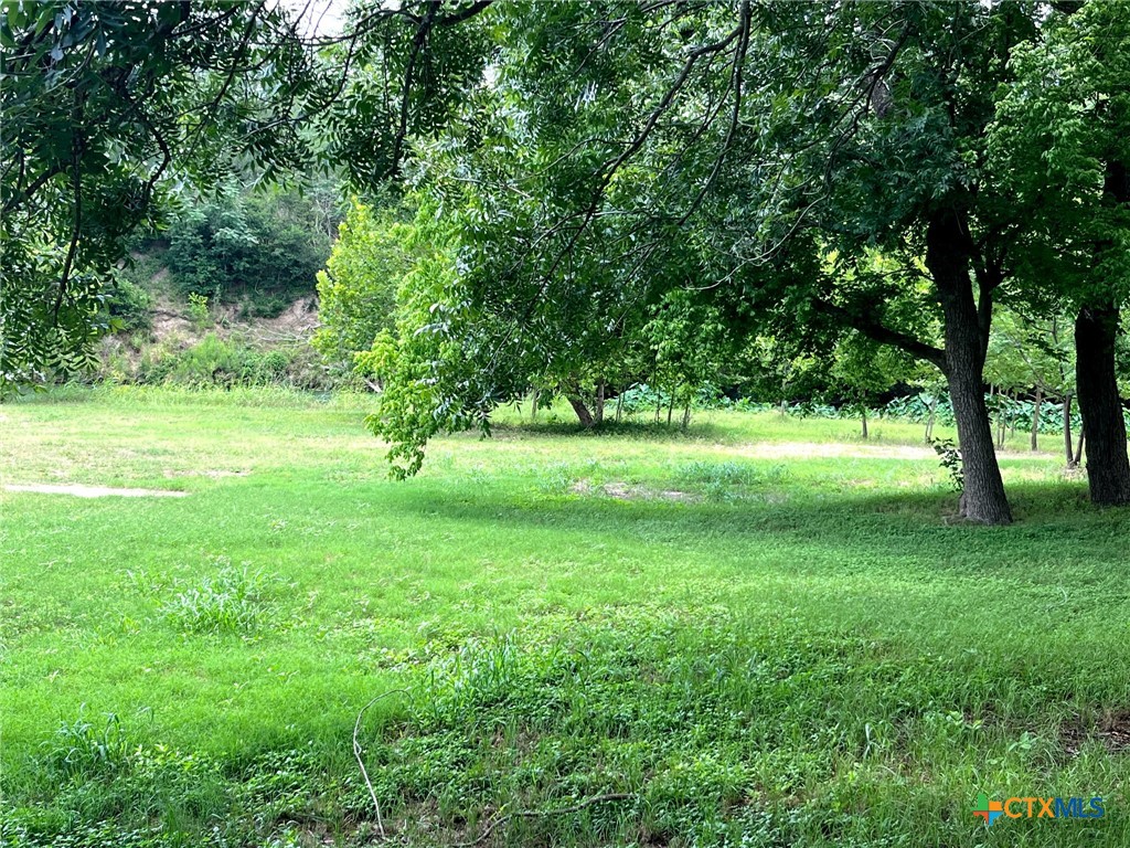Tbd Fm-1979 Property Photo 1