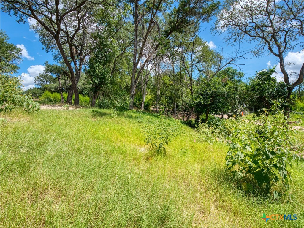 Lot 8 Waco Street Property Photo 3