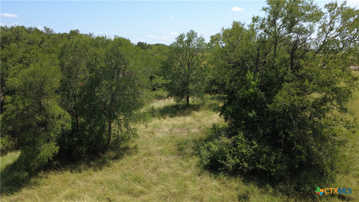 16176 Audrey Lane Property Photo 7