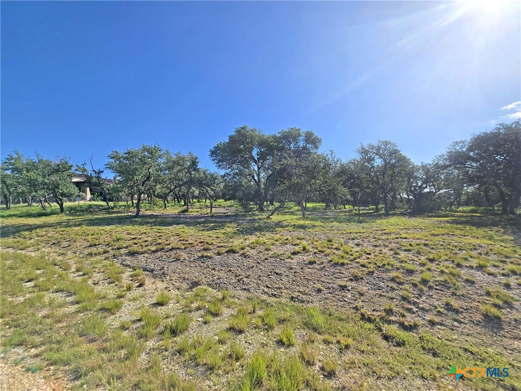 1534 Lake Ridge Boulevard Property Photo 1