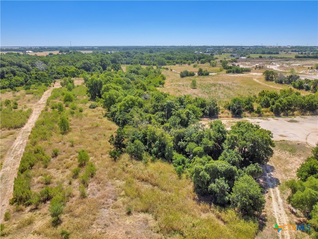 301 Fm 1660 Property Photo 8