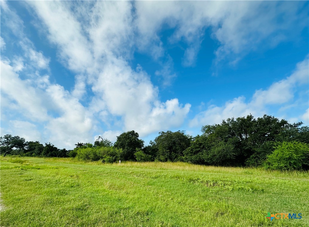 Lot 10 Sydnie Ranch Road Property Photo 3