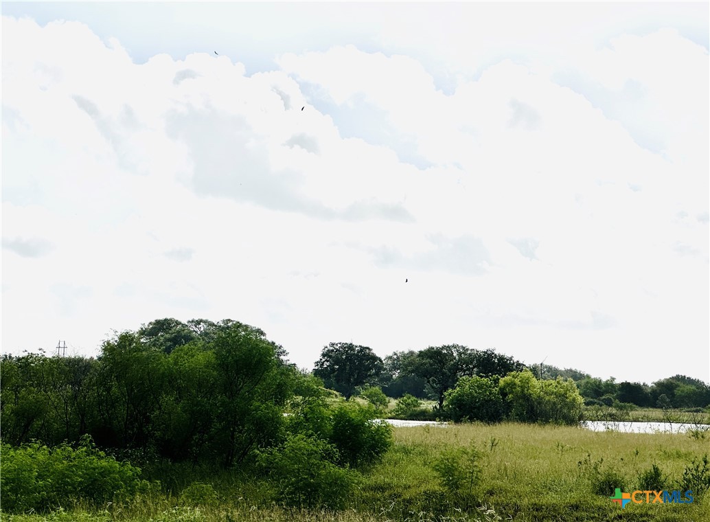 Lot 10 Sydnie Ranch Road Property Photo 4