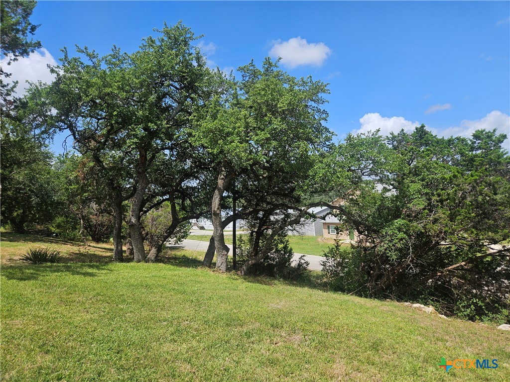 905 Roadrunner Spur Property Photo 31