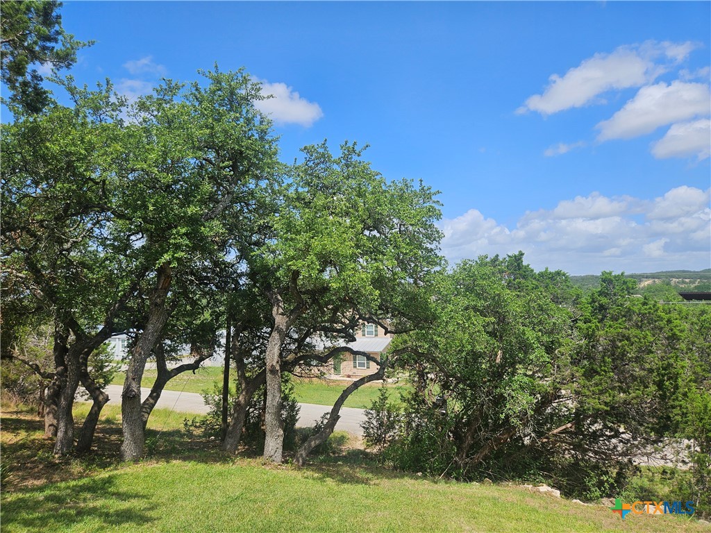 905 Roadrunner Spur Property Photo 33