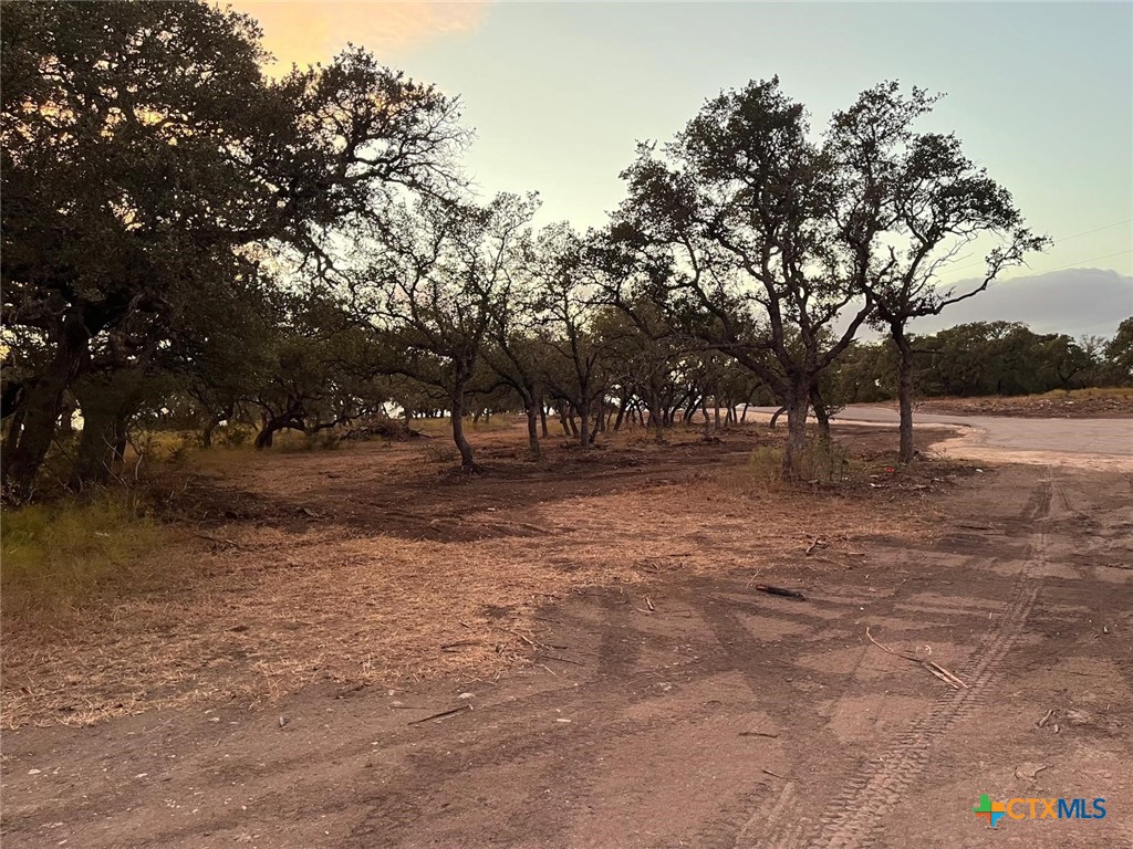 Tbd Lot 10 County Road 340 Property Photo 4