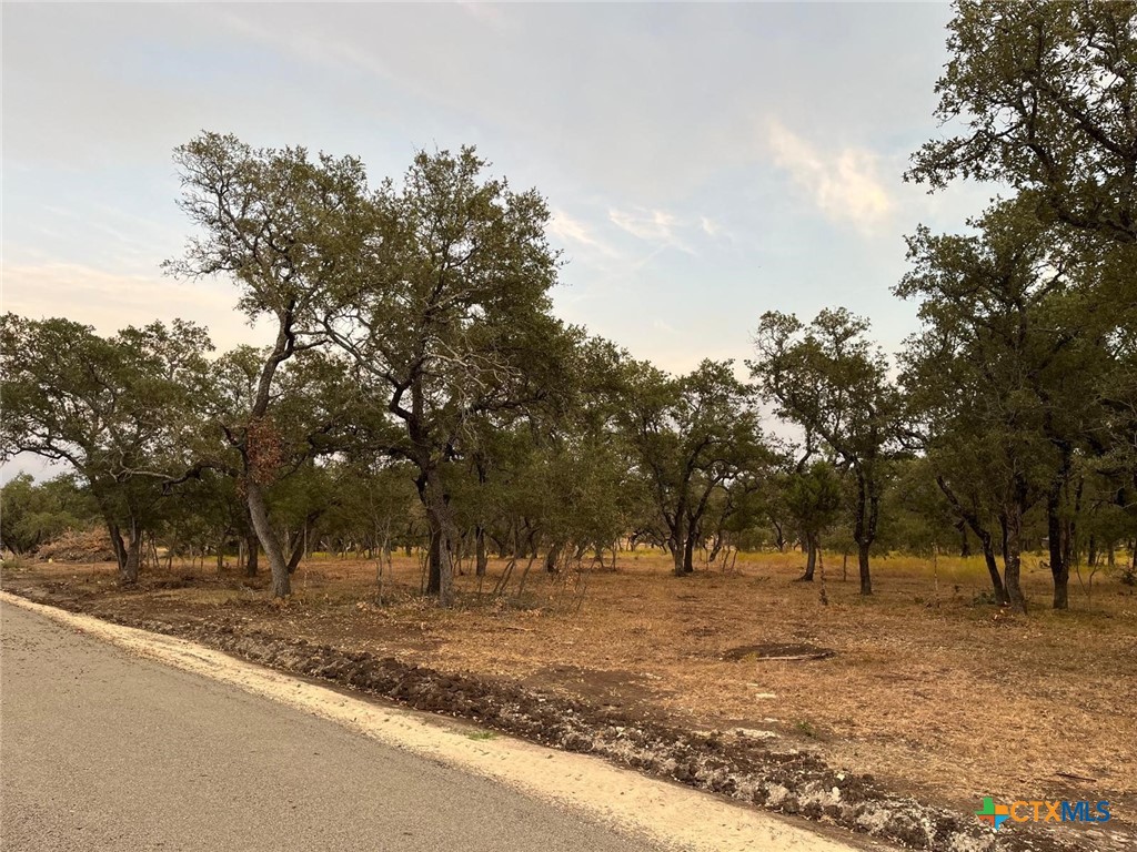 Tbd Lot 10 County Road 340 Property Photo 8