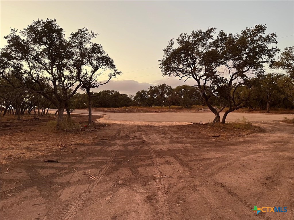 Tbd Lot 10 County Road 340 Property Photo 10