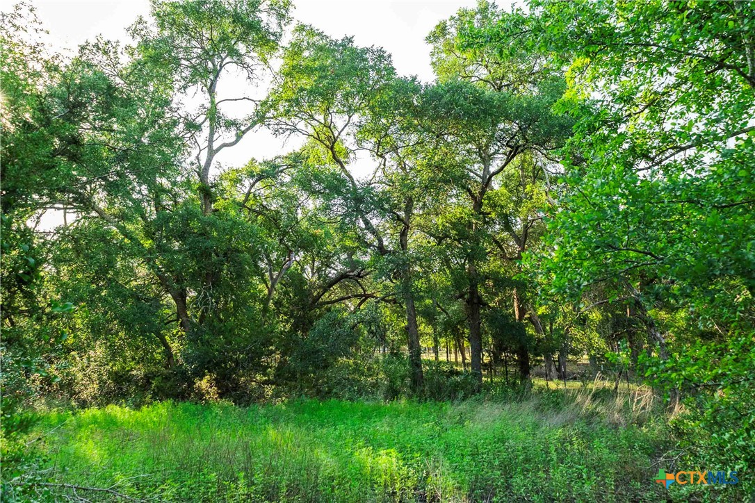 12175 N Us Hwy 183 Property Photo 15