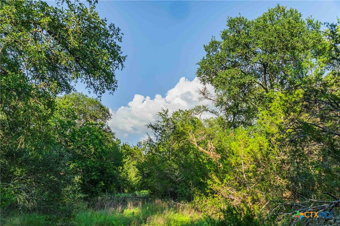 12175 N Us Hwy 183 Property Photo 17