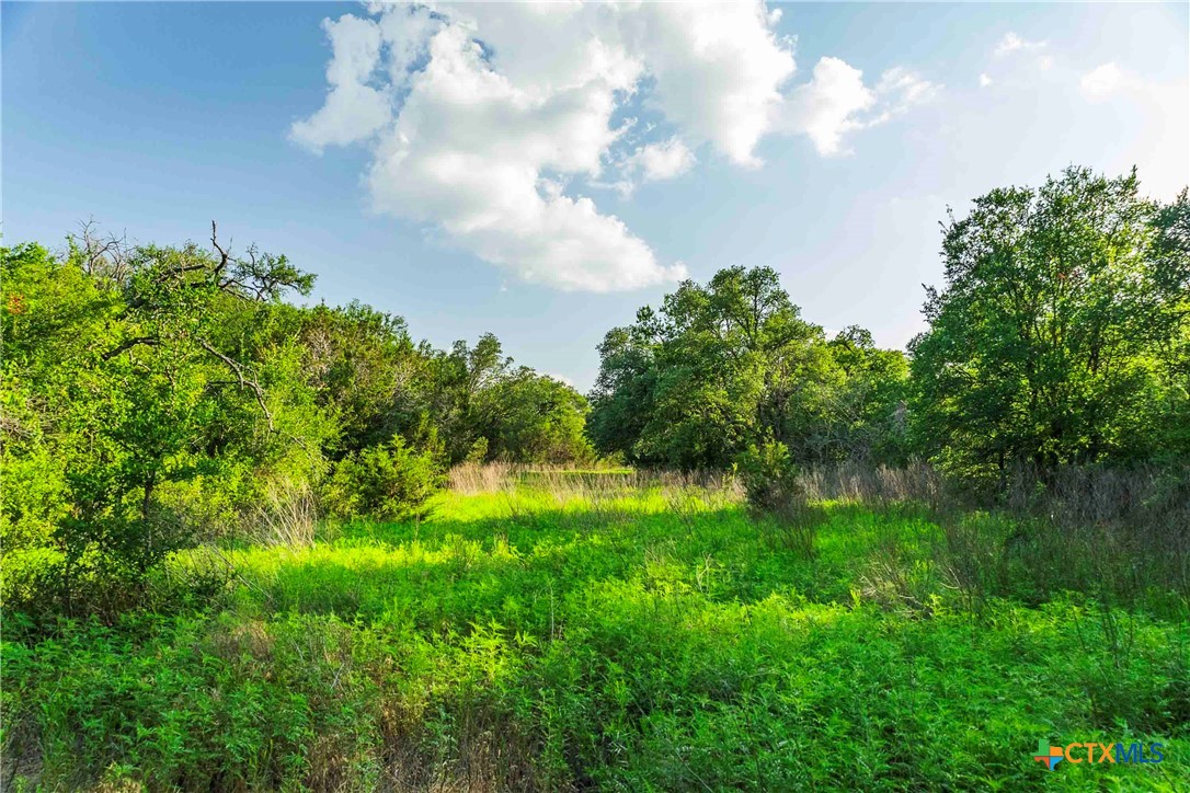 12175 N Us Hwy 183 Property Photo 18