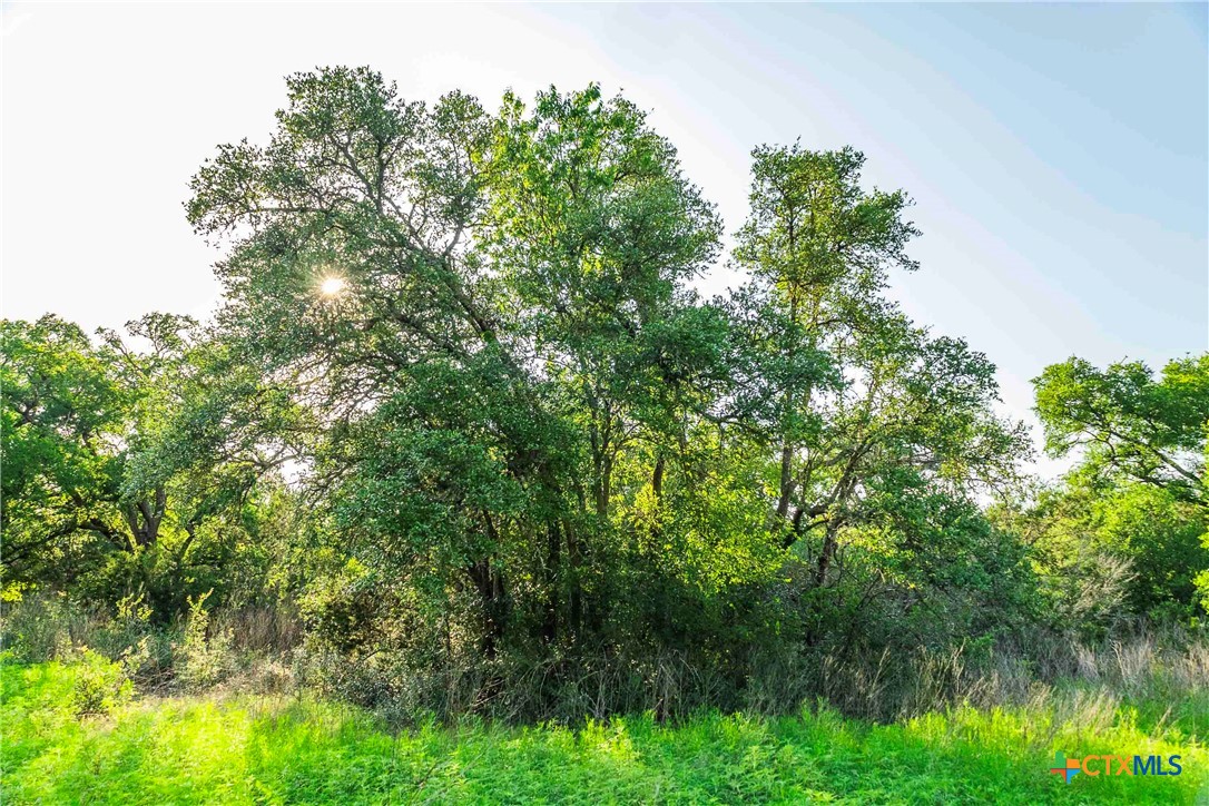 12175 N Us Hwy 183 Property Photo 19