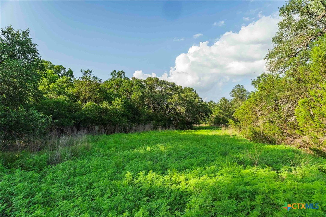 12175 N Us Hwy 183 Property Photo 20