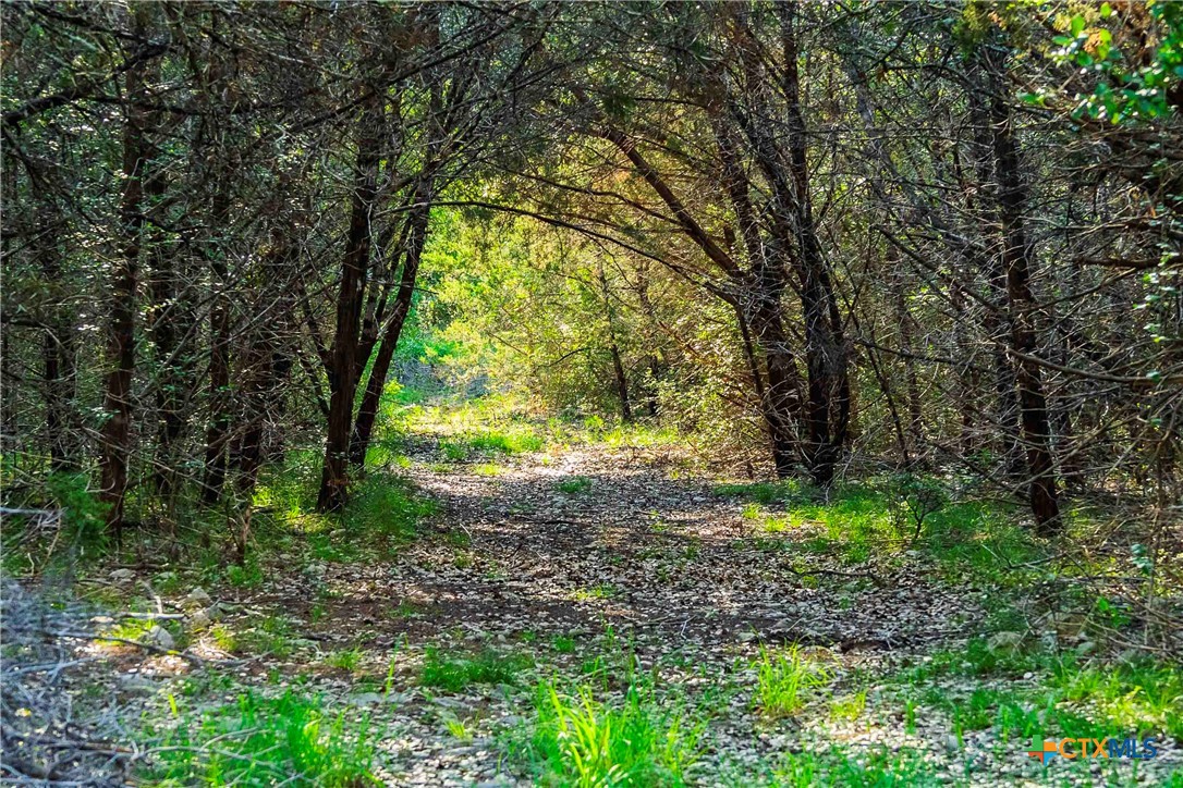 12175 N Us Hwy 183 Property Photo 21