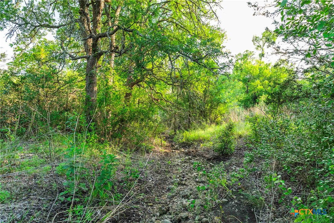 12175 N Us Hwy 183 Property Photo 22