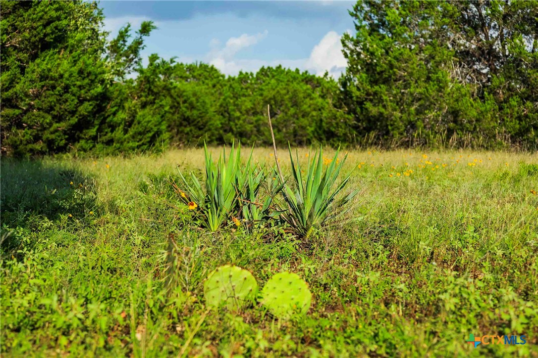12175 N Us Hwy 183 Property Photo 23