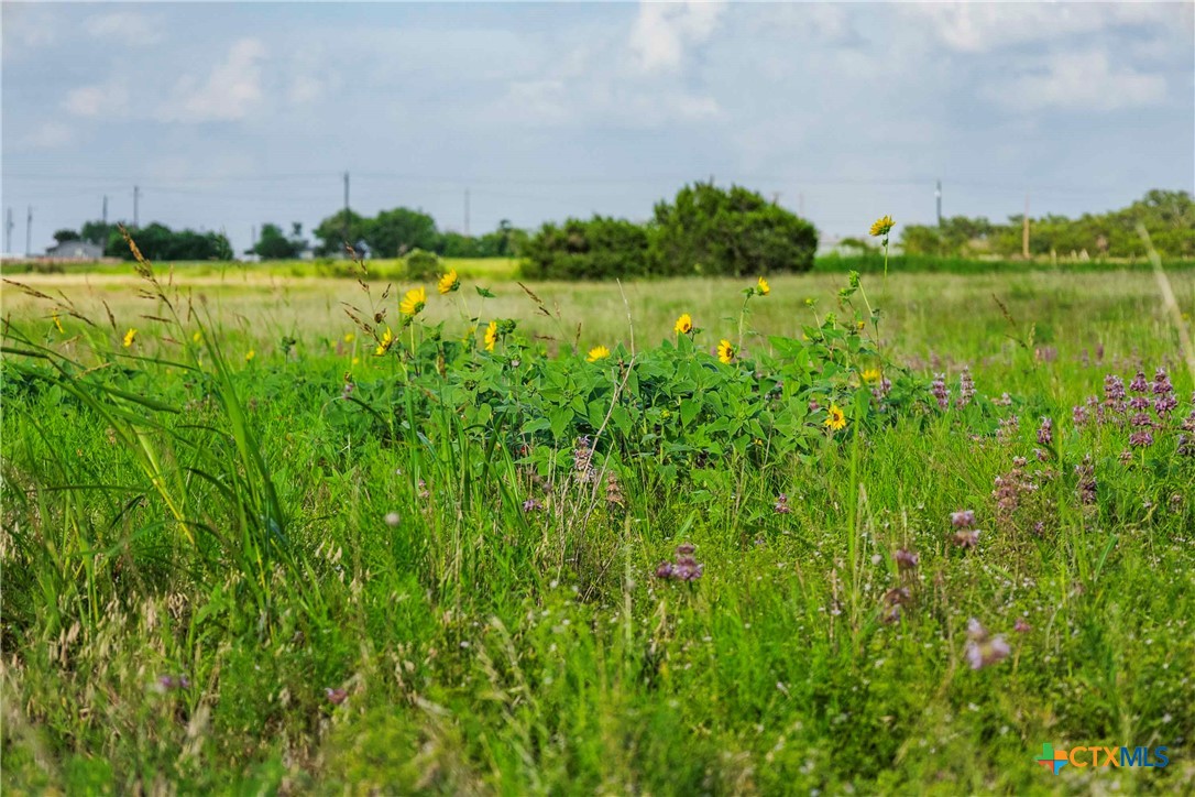 12175 N Us Hwy 183 Property Photo 24