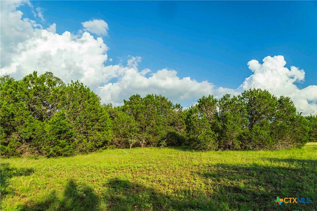 12175 N Us Hwy 183 Property Photo 27