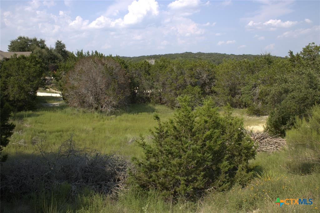 Tbd William Travis Property Photo 1