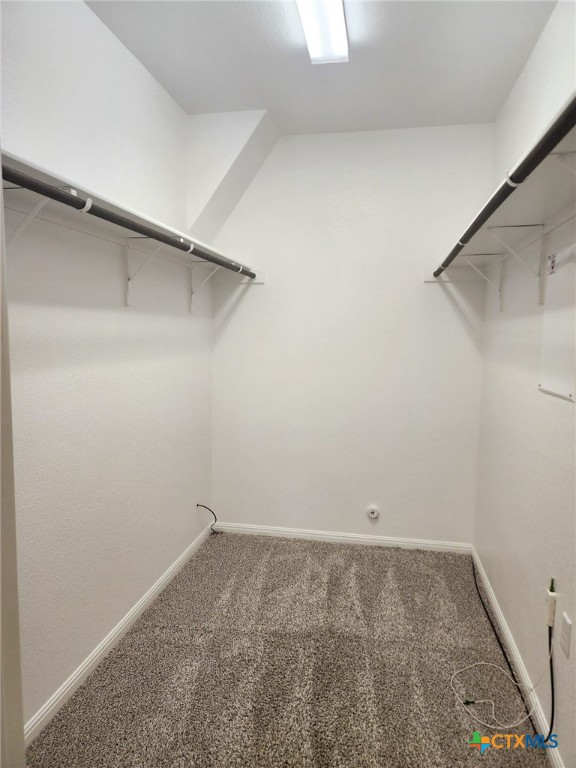 2900 Birch Park Path Property Photo 19
