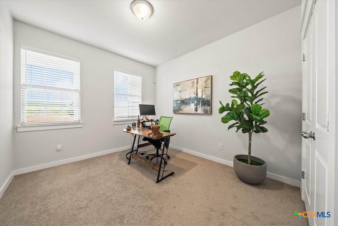 3039 Tenor Way Property Photo 22