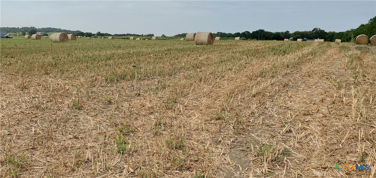 6939 Cedar Creek Road Property Photo 3