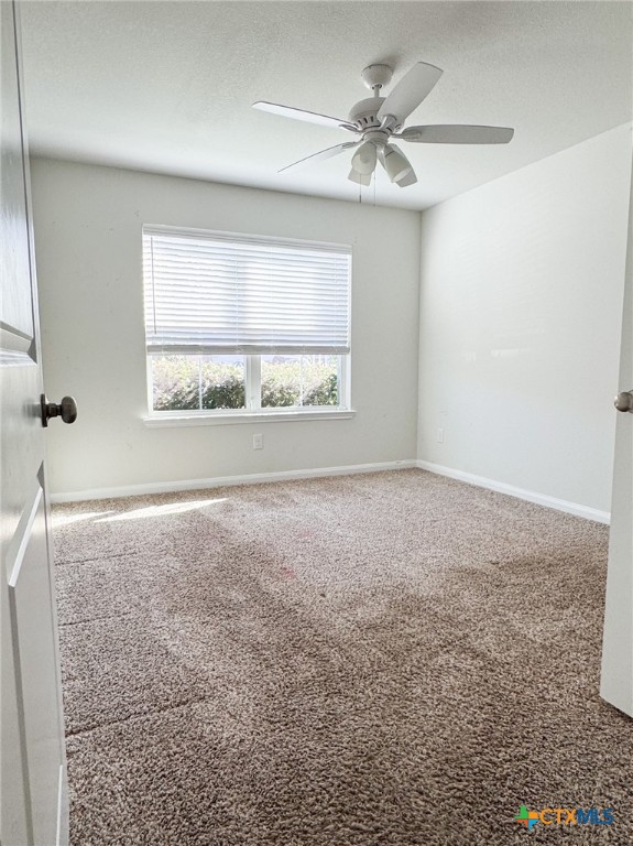 3978 Aransas Drive Property Photo 10