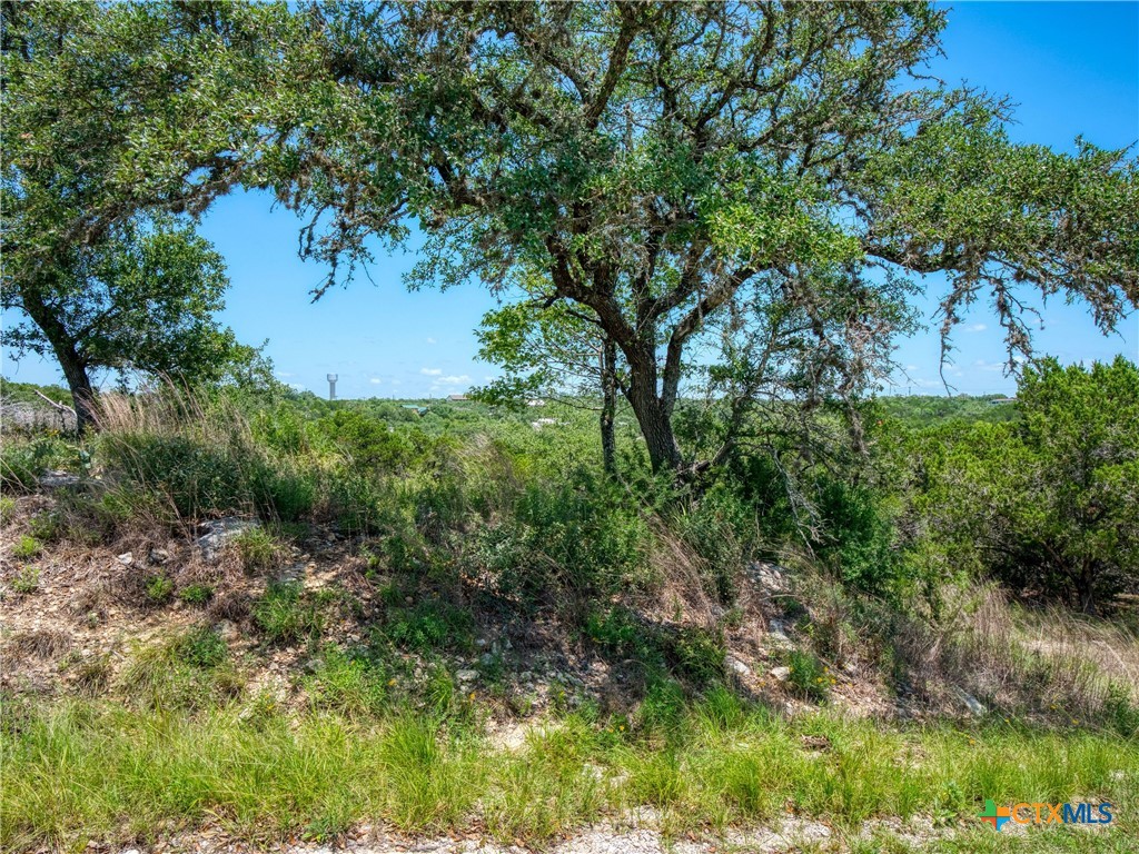151 Nighthawk Lane Property Photo 1