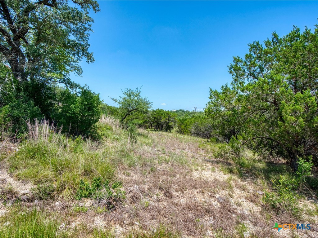 151 Nighthawk Lane Property Photo 19
