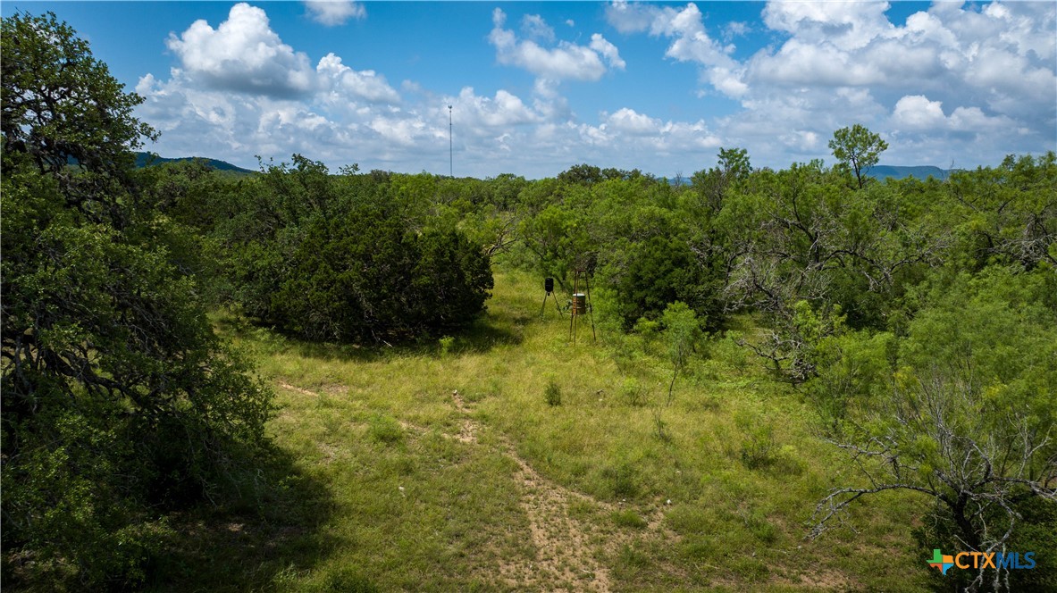 1231 B&r Road Property Photo 4