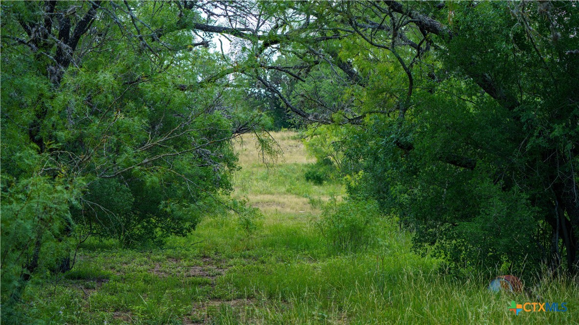 1231 B&r Road Property Photo 10