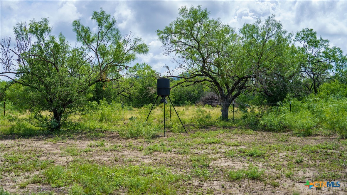 1231 B&r Road Property Photo 11