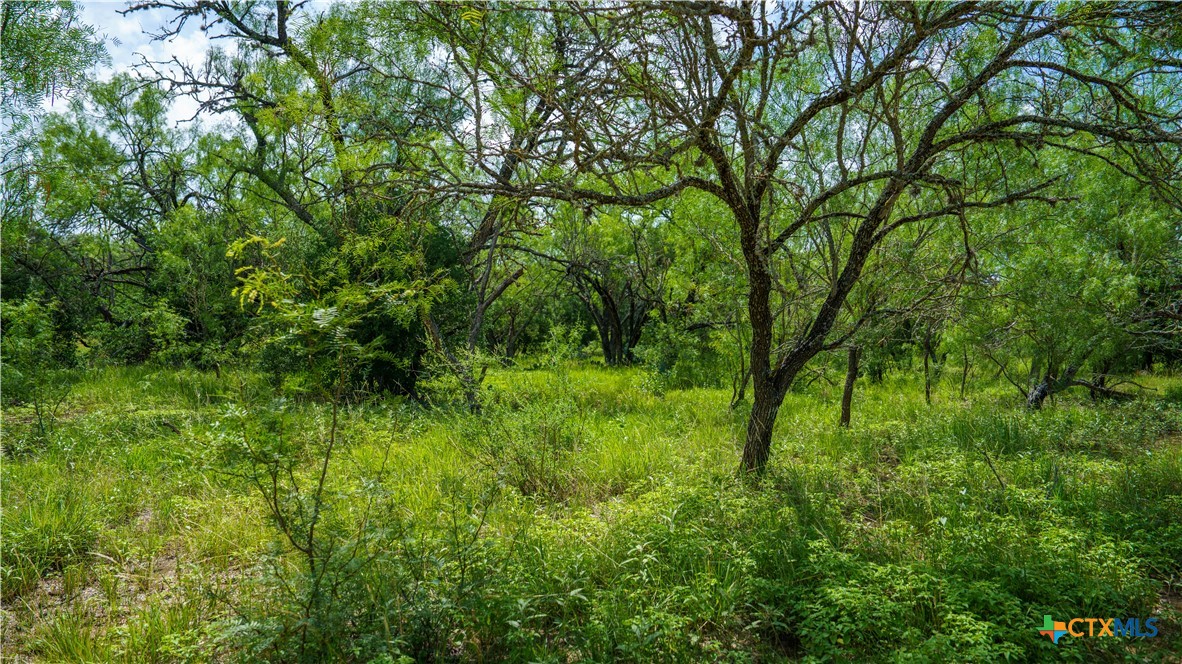 1231 B&r Road Property Photo 13
