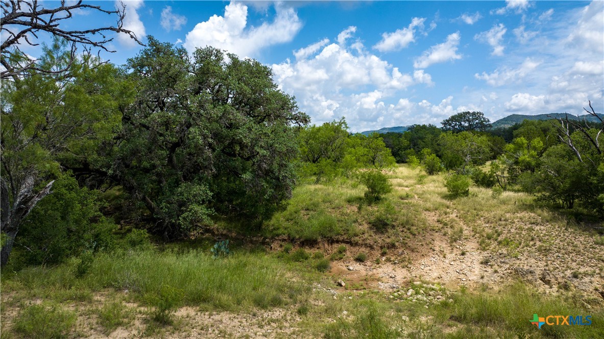 1231 B&r Road Property Photo 14