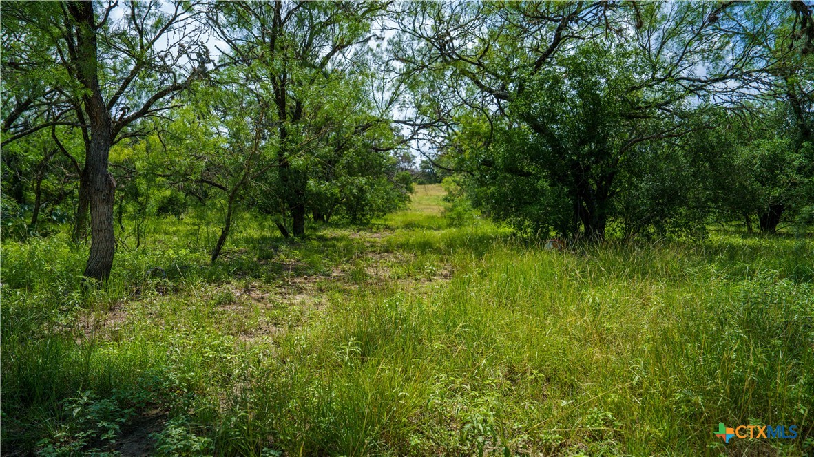 1231 B&r Road Property Photo 15