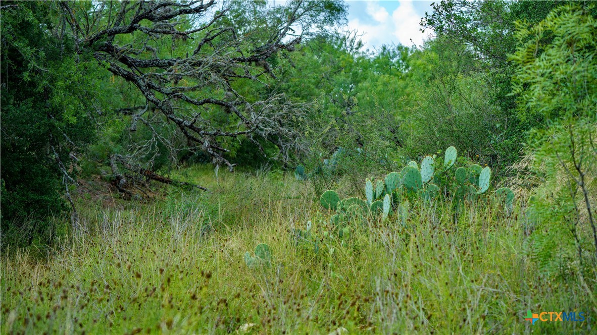 1231 B&r Road Property Photo 16