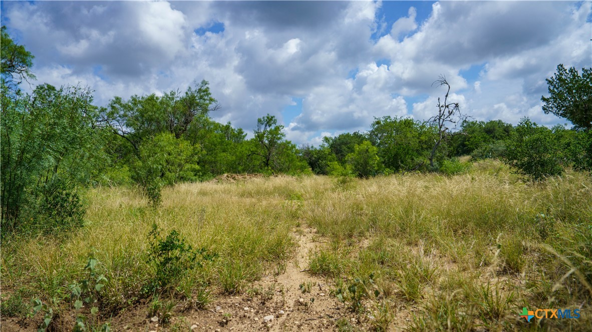 1231 B&r Road Property Photo 18