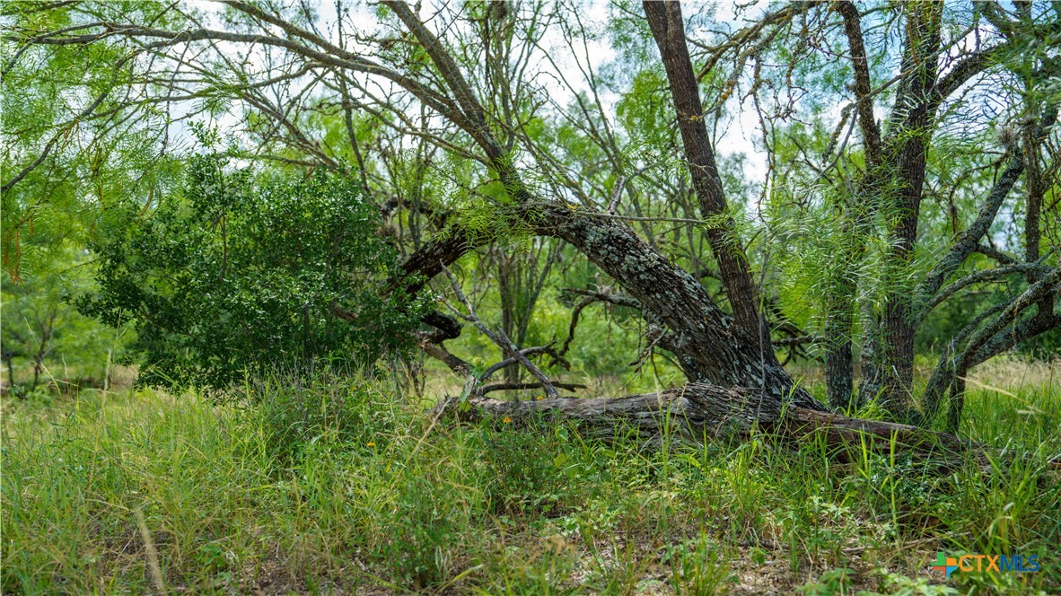 1231 B&r Road Property Photo 19