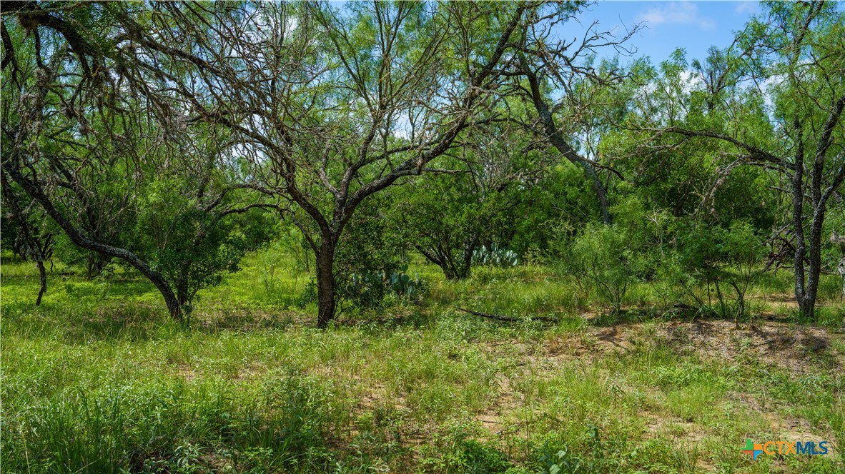 1231 B&r Road Property Photo 20