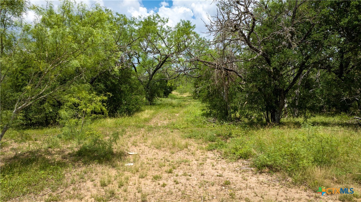1231 B&r Road Property Photo 22