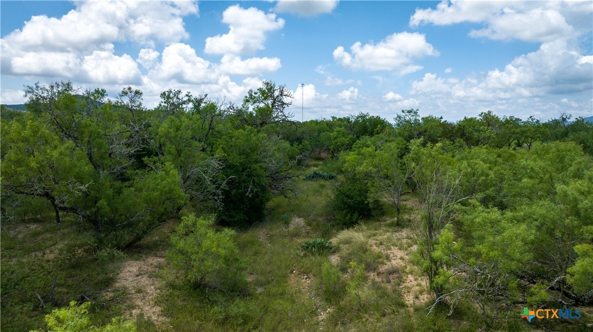 1231 B&r Road Property Photo 23