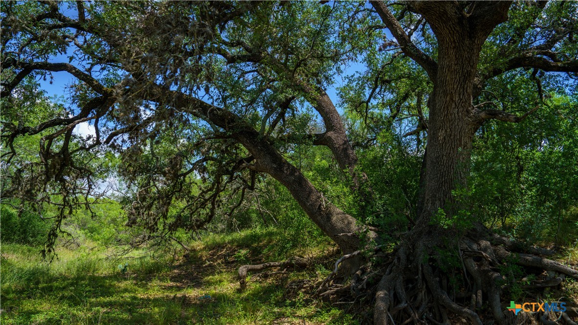 1231 B&r Road Property Photo 24