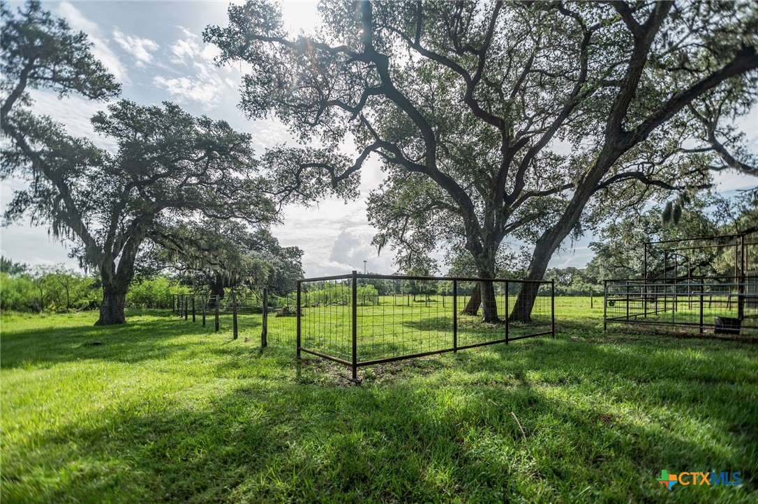 2133 County Road 125 Property Photo 27