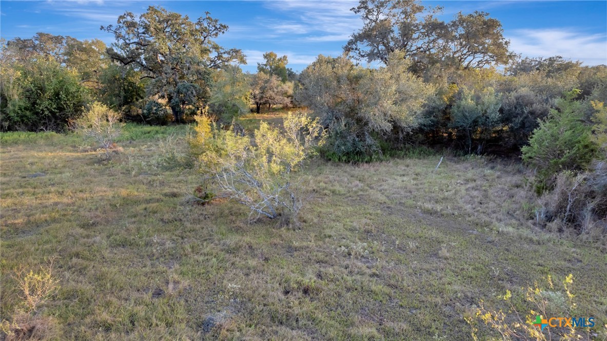 2133 County Road 125 Property Photo 35