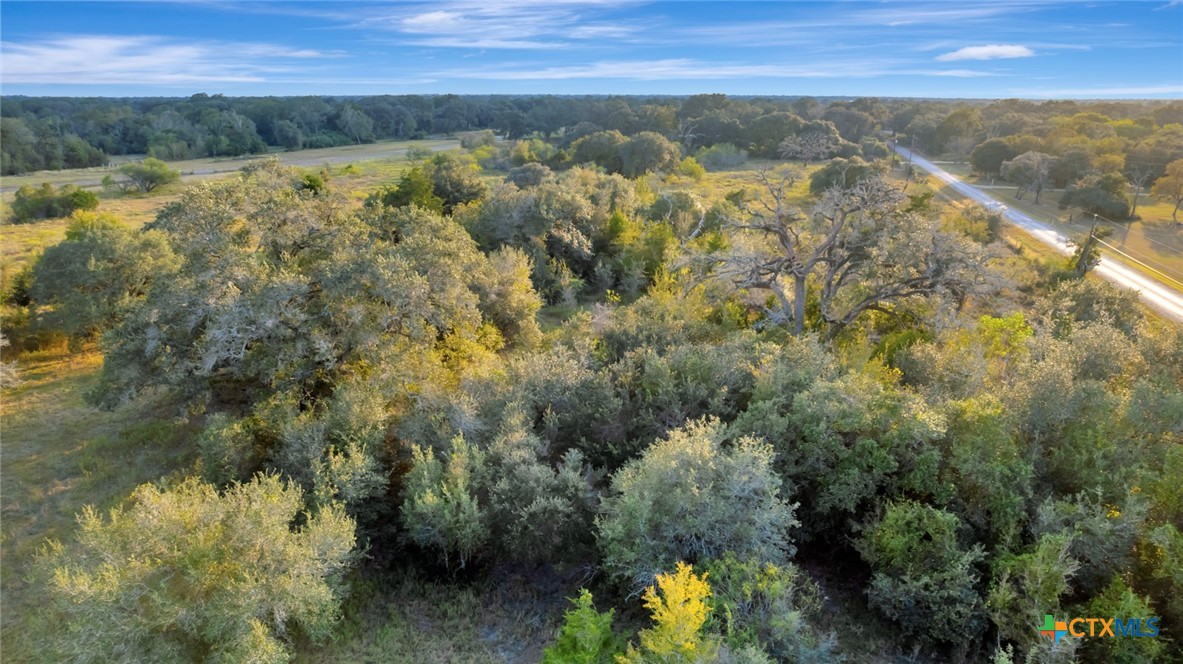 2133 County Road 125 Property Photo 41