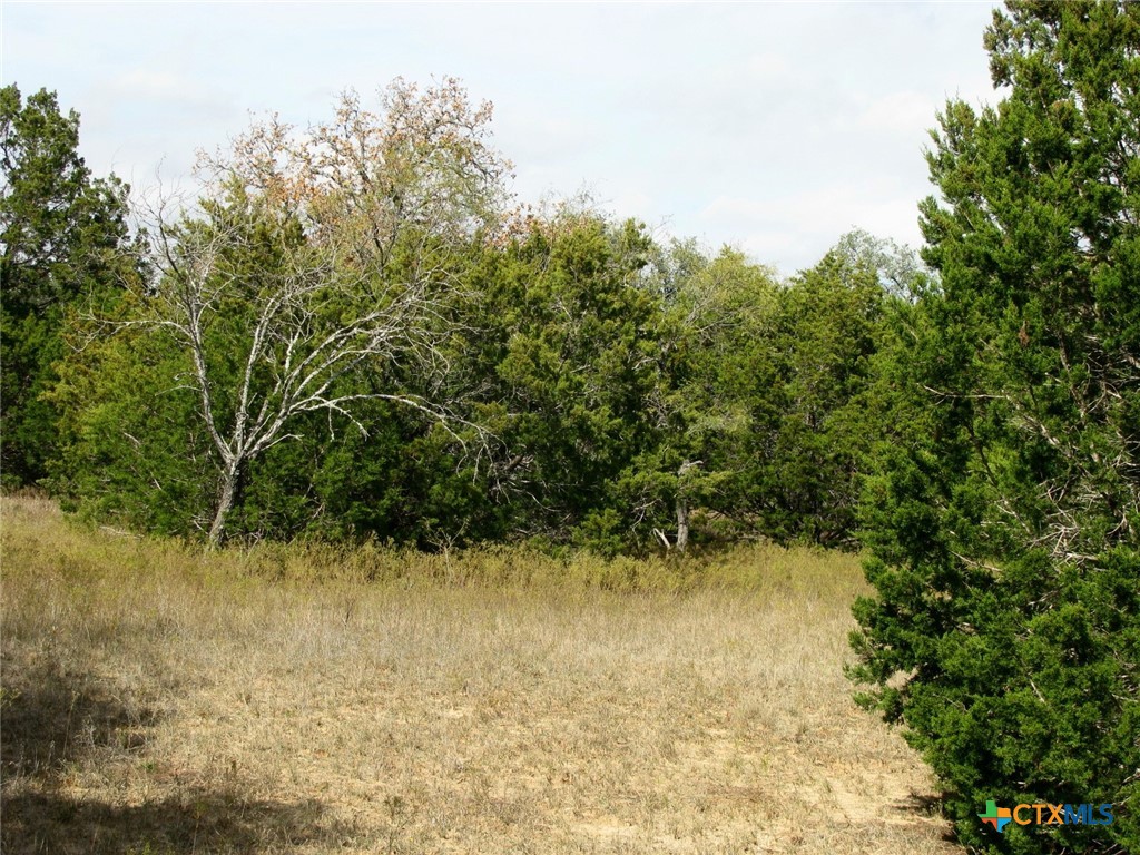 Lot 140 Ph 6 County Road 421 Property Photo 4