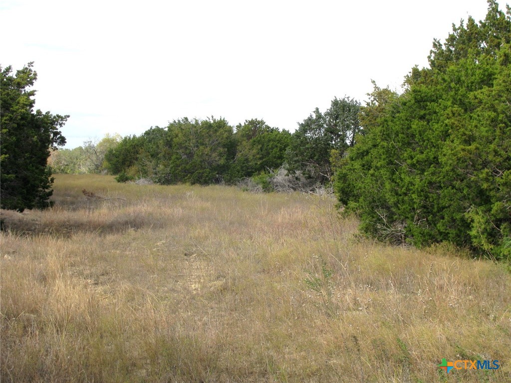 Lot 140 Ph 6 County Road 421 Property Photo 7