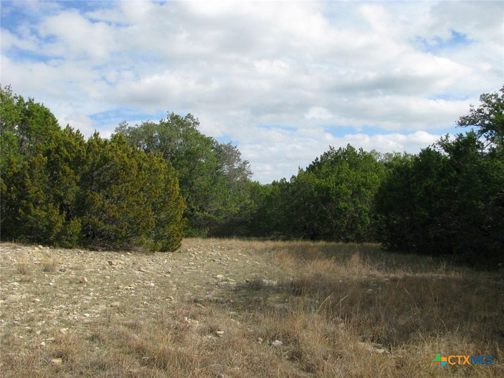 Lot 140 Ph 6 County Road 421 Property Photo 10