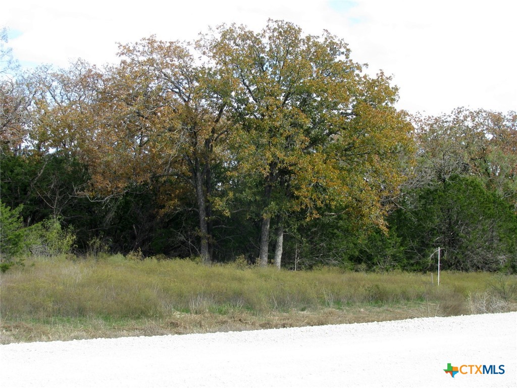 Lot 140 Ph 6 County Road 421 Property Photo 19
