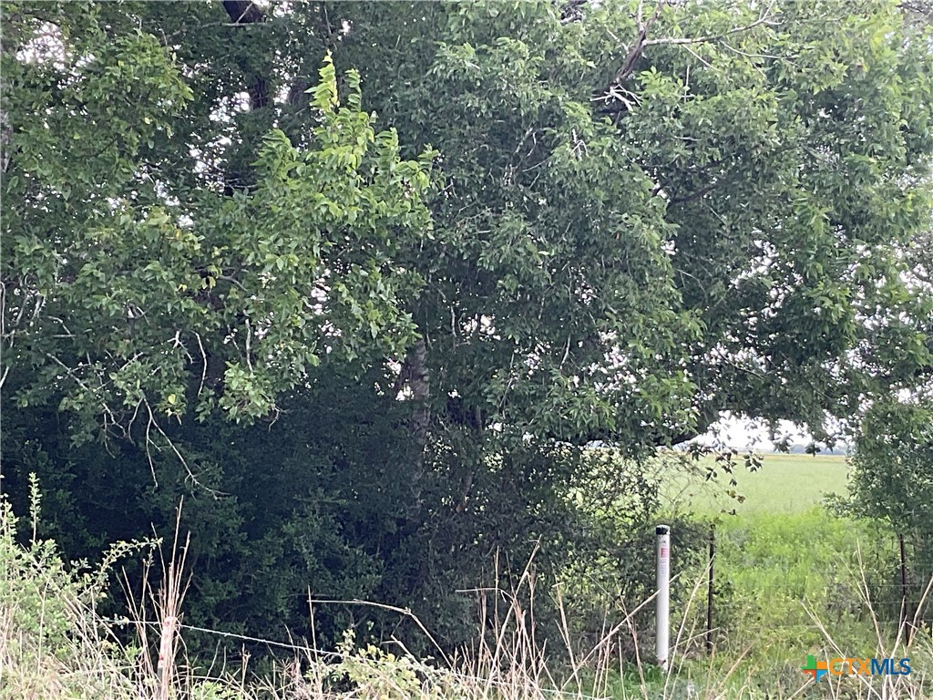 Tbd Cr 449 Property Photo 1